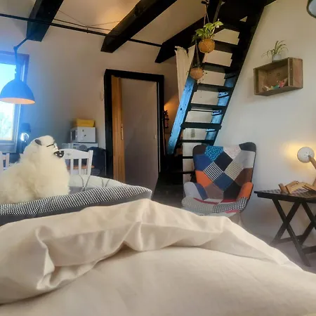 Cozy Haven - Bright Small Rooms, Easy Public Transport Apartamento